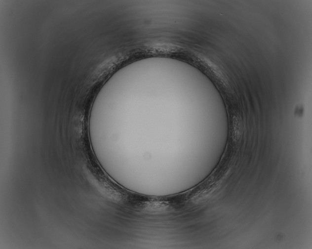 X0000091070451200708271219