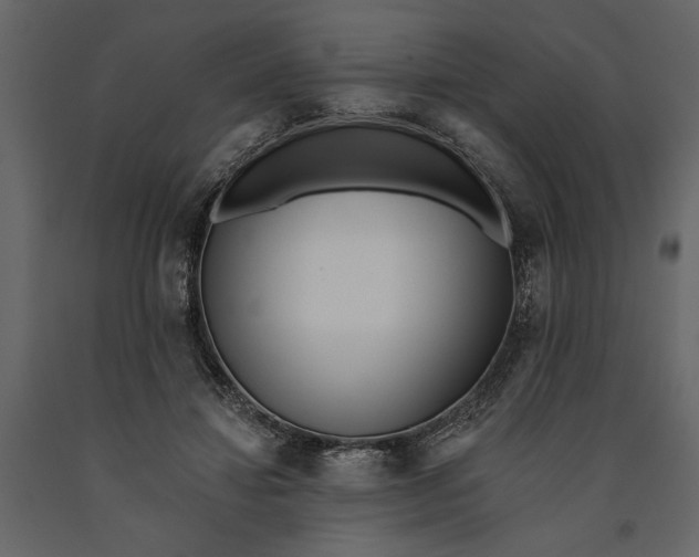 X0000091070452200708271219