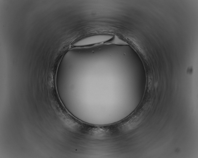 X0000091070453200708271219
