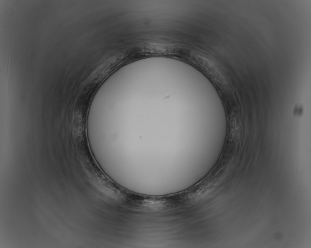 X0000091070457200708271219