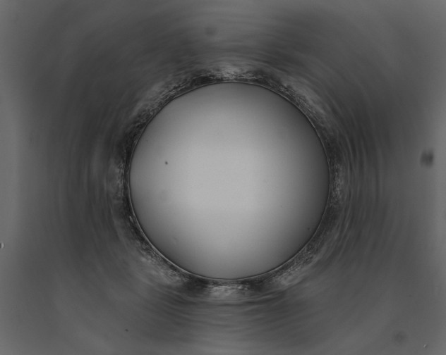 X0000091070461200708271219