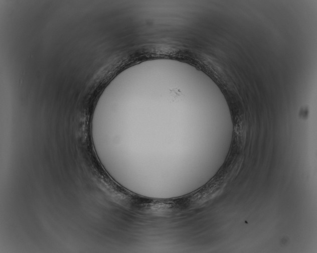 X0000091070462200708271219