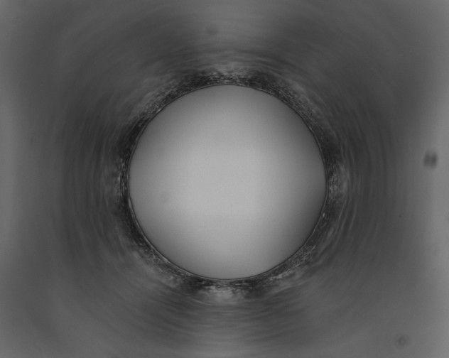 X0000091070464200708271219