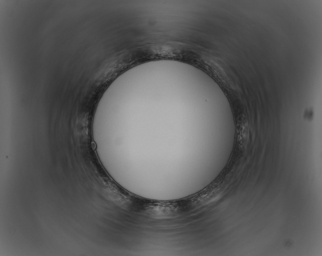 X0000091070466200708271219