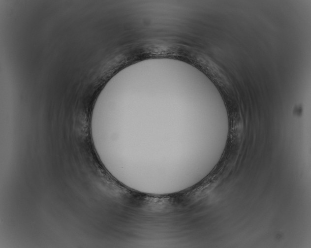 X0000091070469200708271219