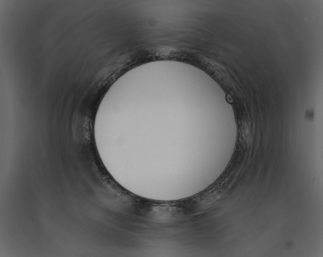 X0000091070470200708271219