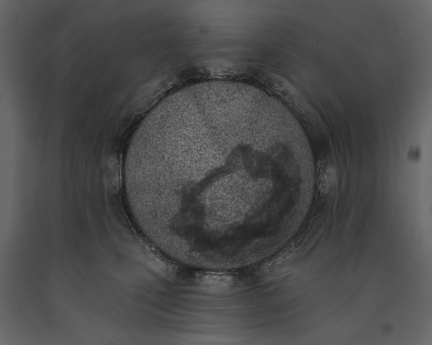 X0000091070471200708271219