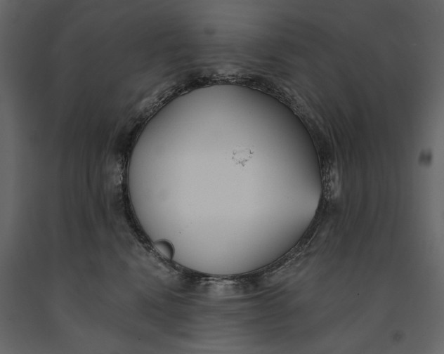 X0000091070472200708271219