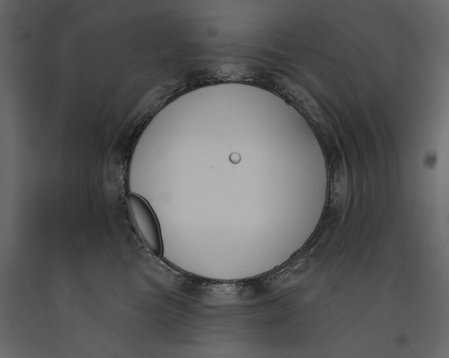 X0000091070473200708271219