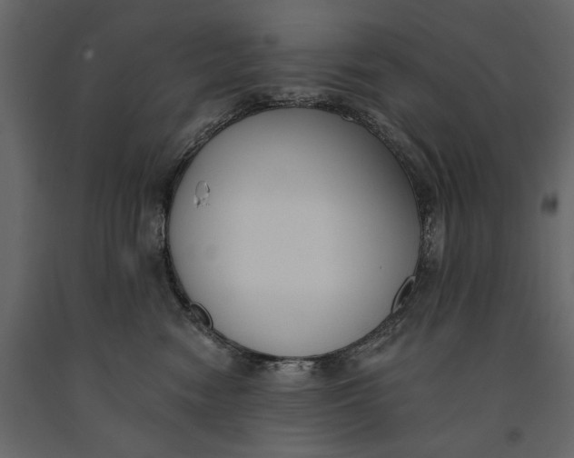 X0000091070474200708271219