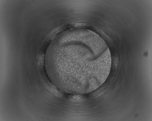 X0000091070475200708271219
