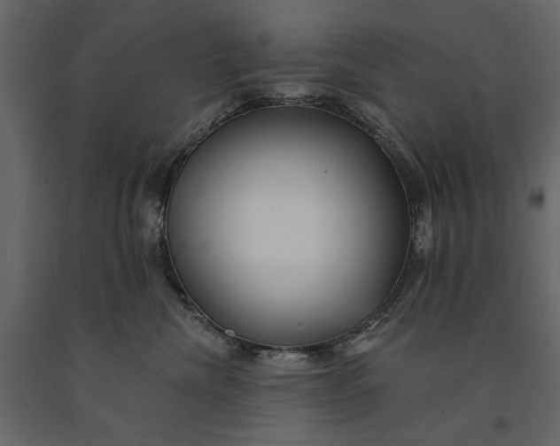 X0000091070476200708271219