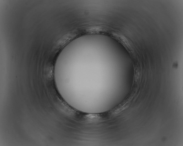 X0000091070477200708271219