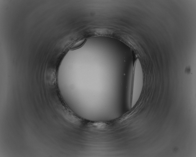 X0000091070478200708271219
