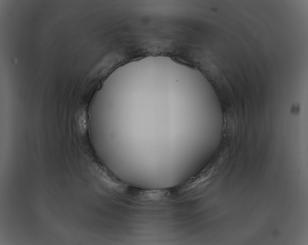 X0000091070479200708271219