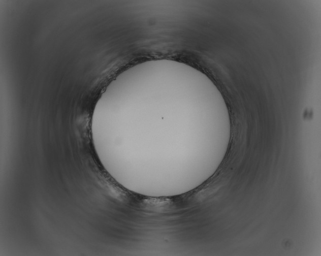 X0000091070480200708271219