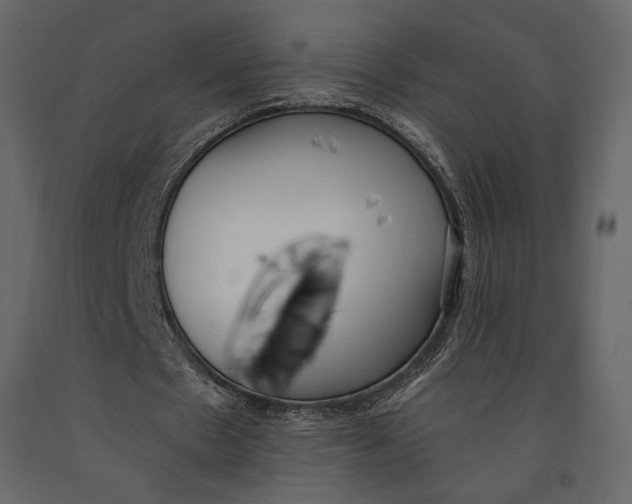 X0000091070481200708271219