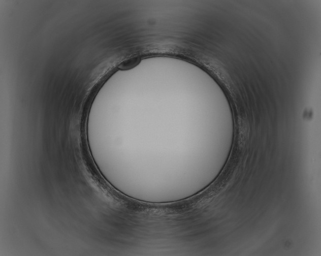 X0000091070482200708271219