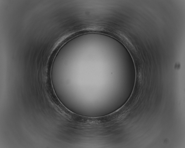 X0000091070484200708271219