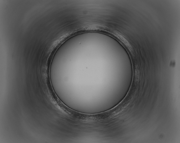 X0000091070485200708271219