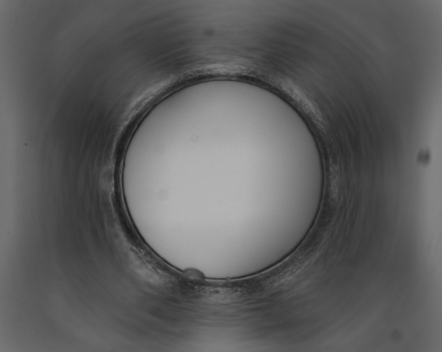 X0000091070486200708271219