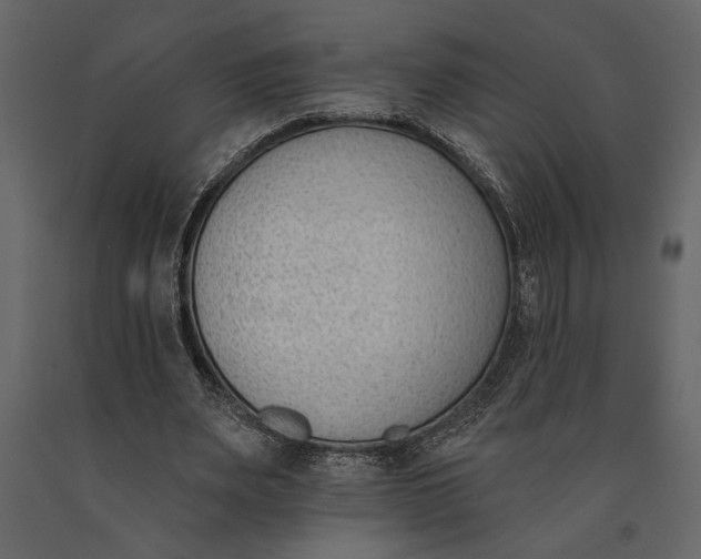 X0000091070487200708271219