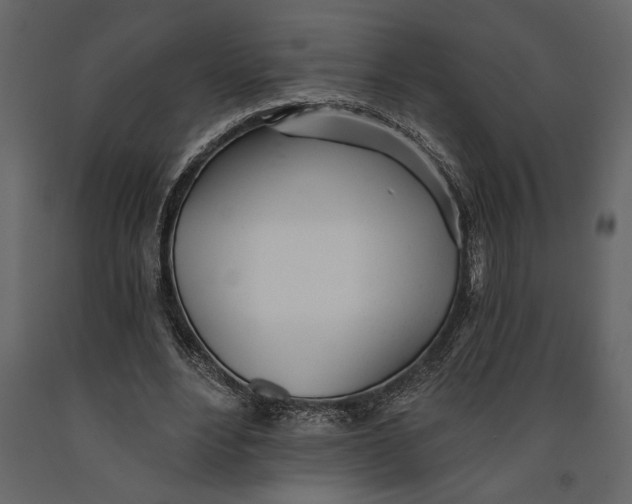 X0000091070488200708271219
