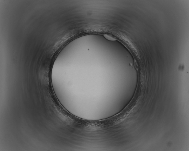 X0000091070489200708271219