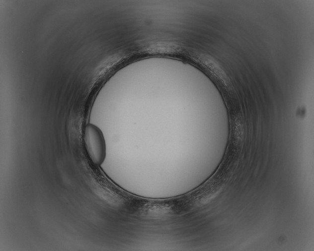 X0000091070491200708271219