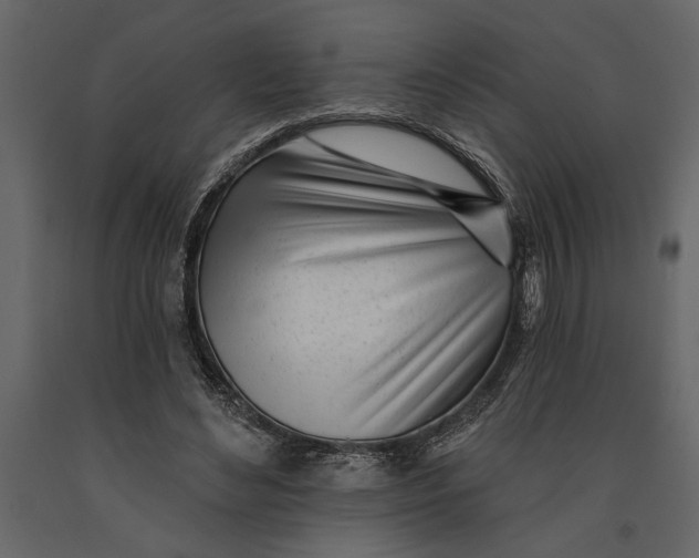 X0000091070492200708271219