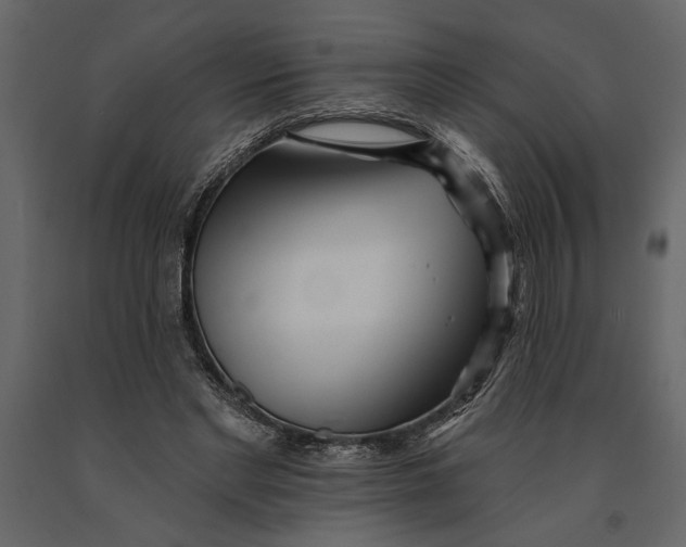 X0000091070493200708271219