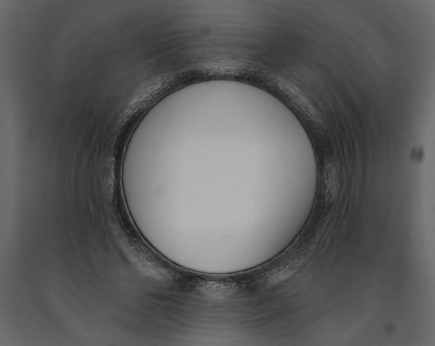 X0000091070494200708271219