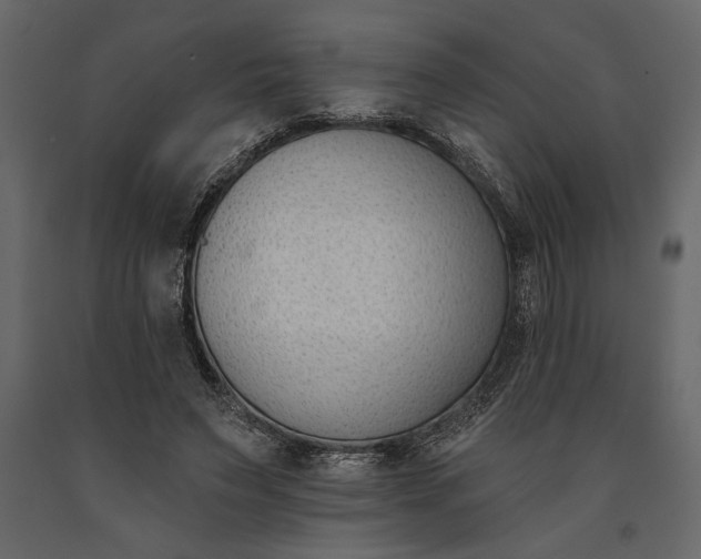 X0000091070495200708271219