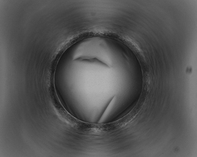 X0000091070496200708271219