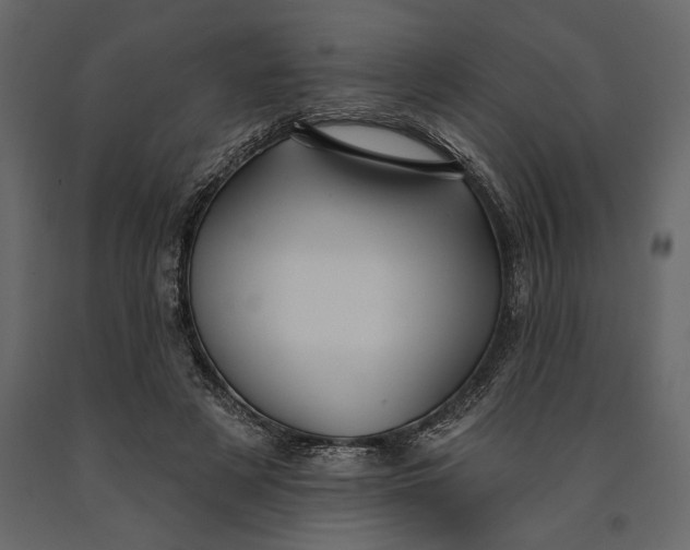 X0000091070497200708271219