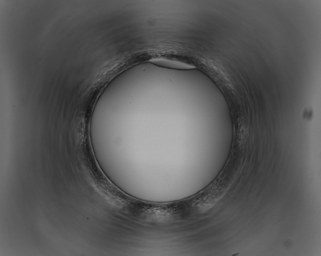 X0000091070498200708271219