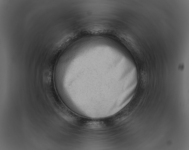 X0000091070499200708271219