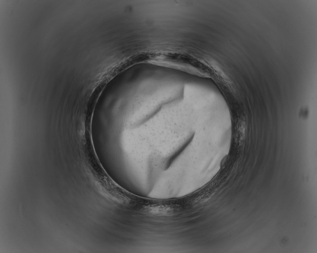 X0000091070500200708271219