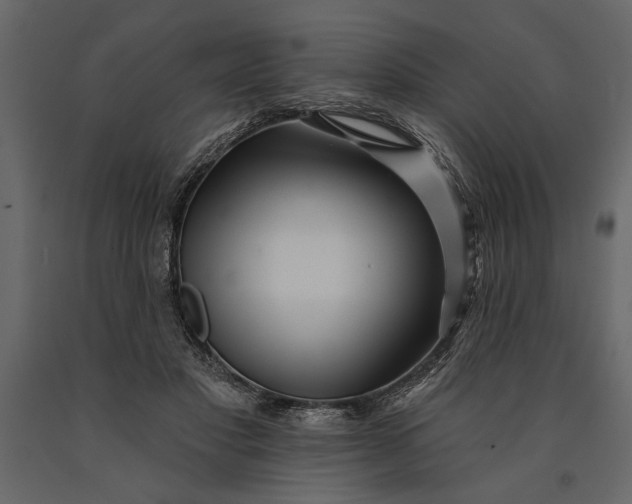 X0000091070501200708271219