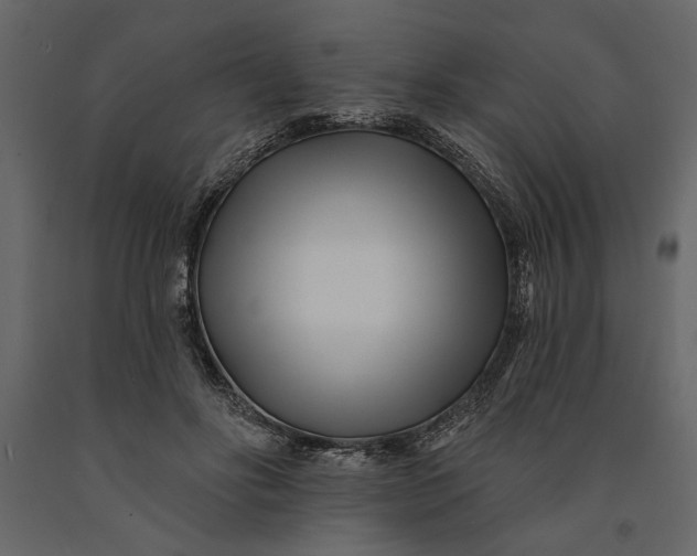 X0000091070502200708271219