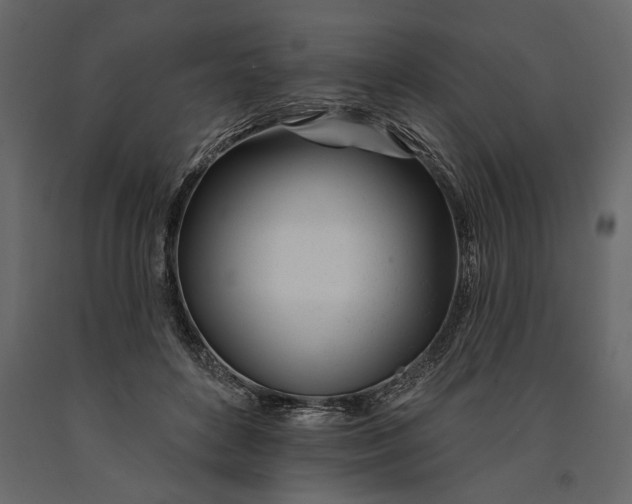 X0000091070504200708271219