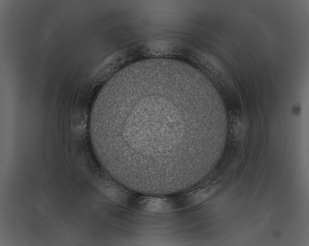 X0000091070507200708271218