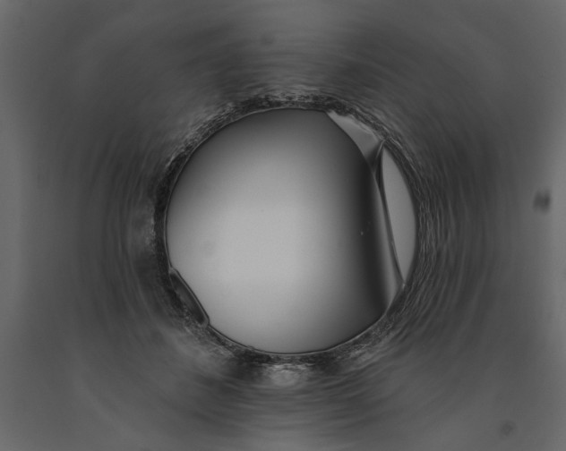 X0000091070508200708271218