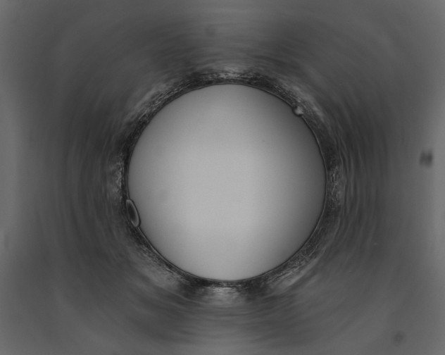 X0000091070509200708271218