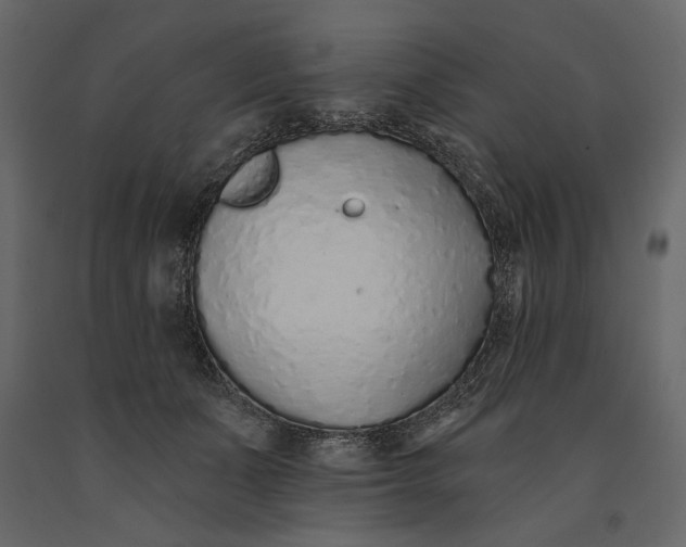 X0000091070511200708271218