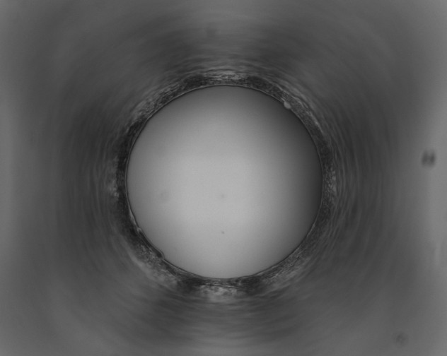 X0000091070512200708271218