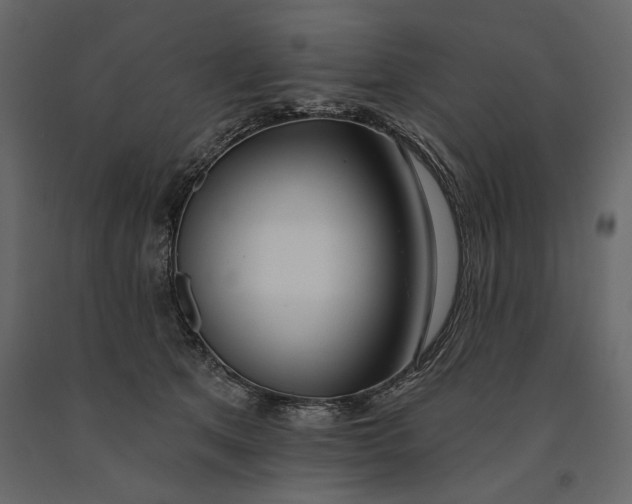 X0000091070513200708271218