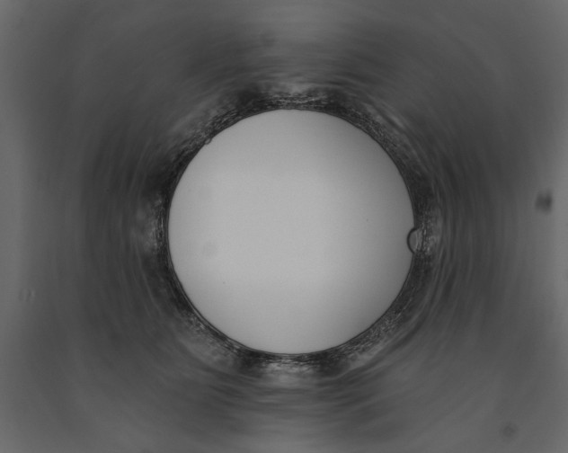 X0000091070515200708271218