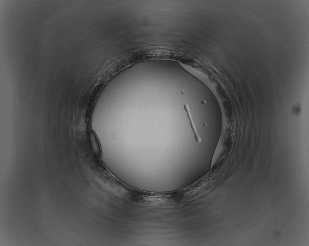 X0000091070516200708271218