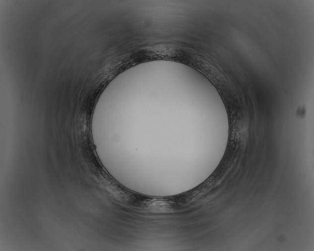 X0000091070518200708271218
